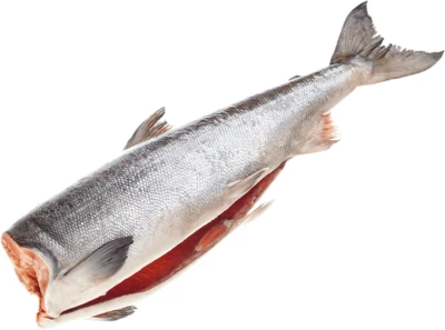 Дикая кета Чумиканская ~ 1,5кг-0}