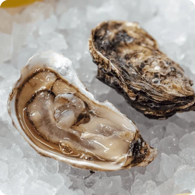 Устрица Люмьер 1шт -0}