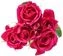 thumb-Роза кустовая Пинк Дидикейшн 1шт.-1}