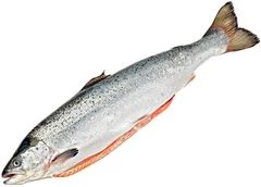 Семга Мурманская охлажденная ~5,5кг