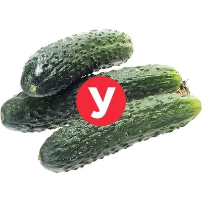 Огурцы Мамлюк УЦЕНКА ~ 600г-0}