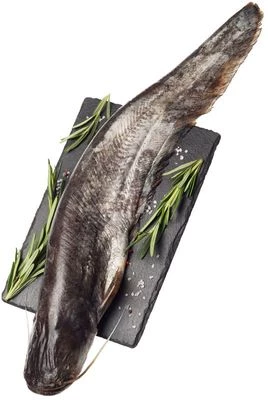 Сом каспийский потрошеный без глазури ~1,5кг-0}