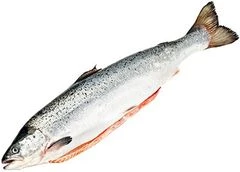 Семга мурманская потрошеная охлажденная ~4,5кг