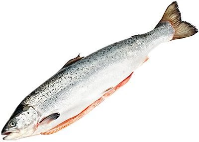 Семга потрошеная ~5.5кг-0}