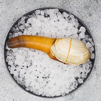 Гуидак Дальний Восток ~400г-0}