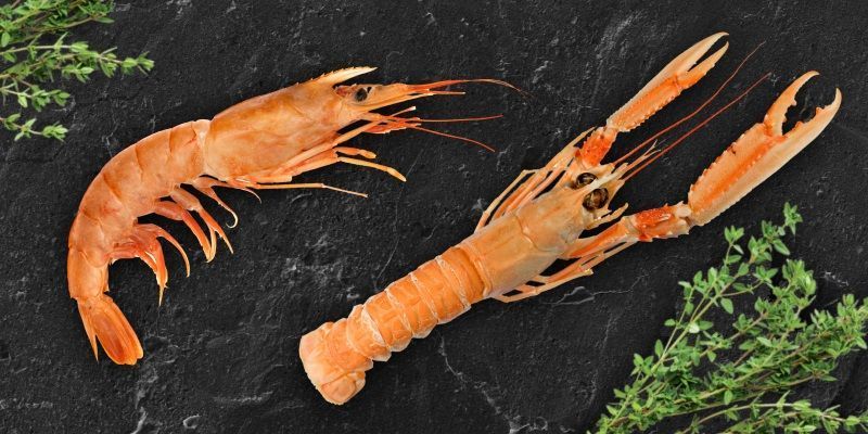 Лангустины или аргентинские креветки? В чем разница?