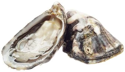 Устрица Муроцу 1шт-1}