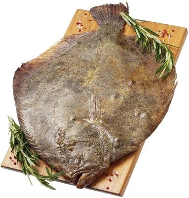 Азовская камбала калкан ~1,25кг-0}