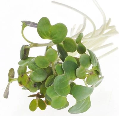 Микрозелень Горчица Россия 40г-0}