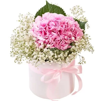 Букет из гортензии в шляпной коробке-0}