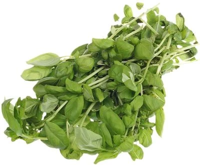 Базилик зеленый свежий Россия 50г-0}
