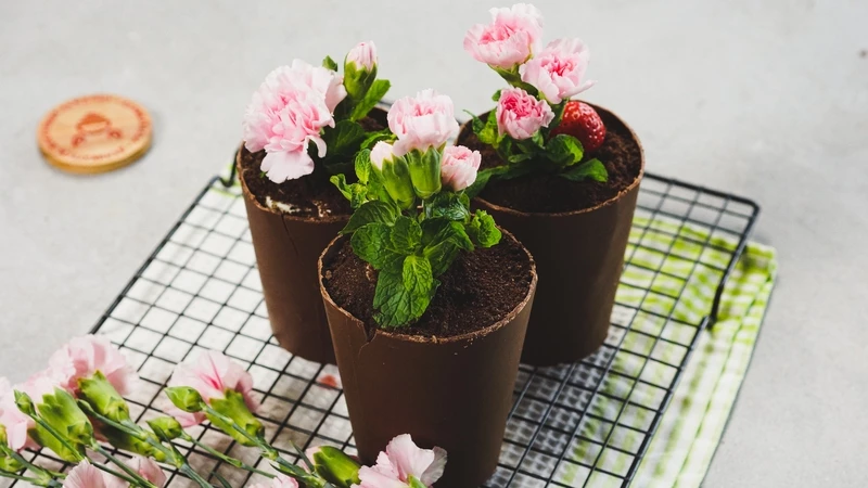 Съедобный цветочный горшок