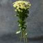 thumb-Букет хризантем Ромашковое поле 7шт-2}