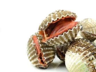 Топ-5 редких морепродуктов, которые вас удивят