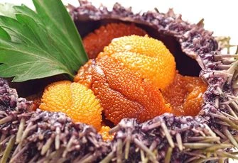 Икра морских ежей - редкое удовольствие