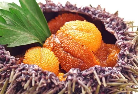 Икра морских ежей - редкое удовольствие  - Статьи и лайфхаки от Деликатеска.ру