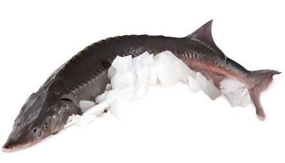 Осетр замороженный ~ 4,5кг -0}