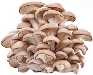 Вешенки свежие Россия 280г-0}