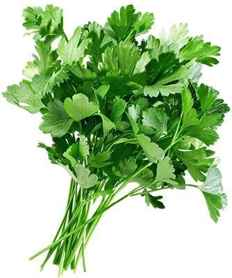 Кинза свежая 100г-0}