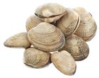 Вонголе живые морской петушок 1 кг