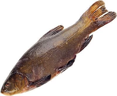 Линь охлажденный ~ 800г-0}