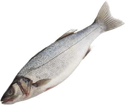 Сибас замороженный с головой ~ 800гр-0}