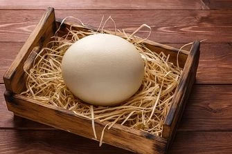 Cтраусиное яйцо: как готовить и какое на вкус