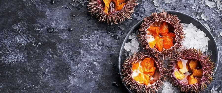 Живые морепродукты