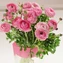thumb-Ранункулюс розовый 1шт-2}