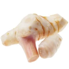 Галангала корень свежий Таиланд 100г