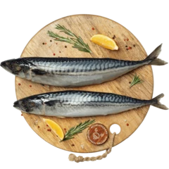 Скумбрия жирная атлантическая ~1кг