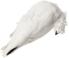 Куропатка полярная в пере тушка ГОСТ ~550г