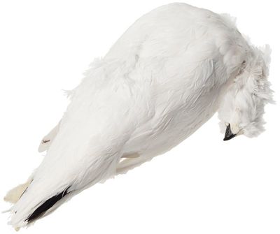 Куропатка полярная в пере тушка ГОСТ ~550г-0}