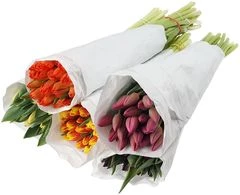 Букет тюльпанов 25шт