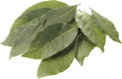 Лавровый лист свежий Краснодарский край 50г