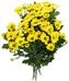 thumb-Хризантема кустовая Сантини желтая 1шт-0}