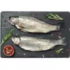 Судак целый замороженный ~1,5кг купить в Москве с доставкой на дом от ...