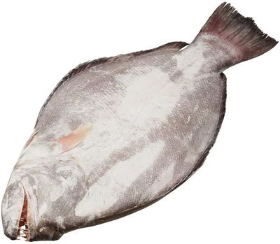 Морской язык С/М., от 400г до 600г.~500гр Шри-Ланка-1}