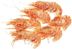 Креветки гренландские 70/90 400г