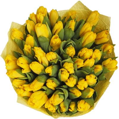 Букет желтых тюльпанов Аграсс Голд 49шт-1}
