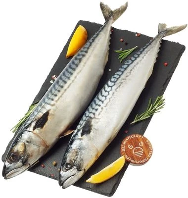 Скумбрия жирная Тихоокеанская ~1,1кг-0}