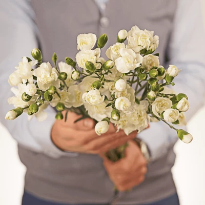 Гвоздика кустовая белая 1шт-1}