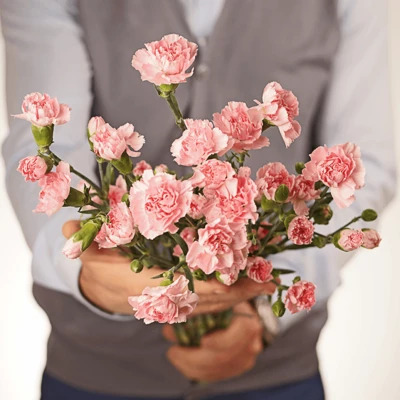 Букет гвоздики кустовой розовой 5шт-0}