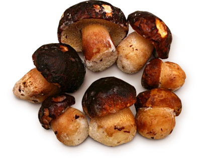 Грибы белые цельные, 1кг-0}