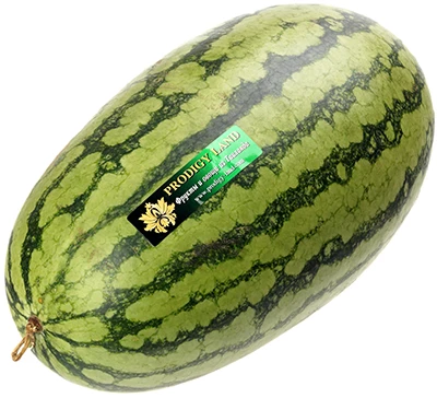 Арбуз желтый Таиланд ~2.5кг-1}