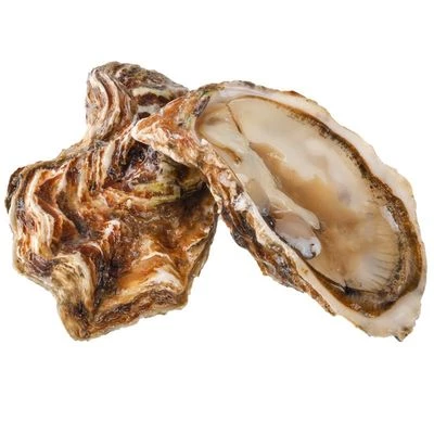 Устрица Сайон ~90г-1}