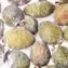 thumb-Фейхоа Деликатеска 500г-3}