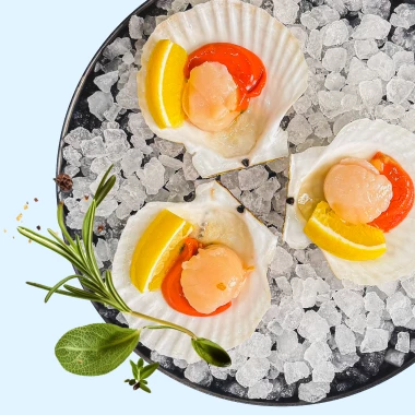 19.02 Мастер-класс Гребешковые истории в ЖК Сити Бэй-0}