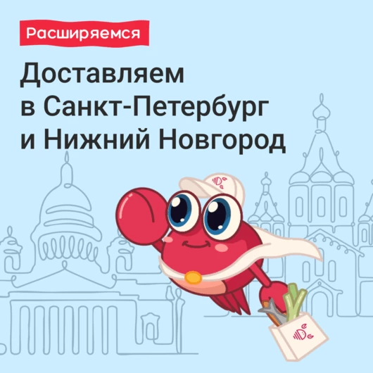 Доставка в Санкт-Петербург и Нижний Новгород