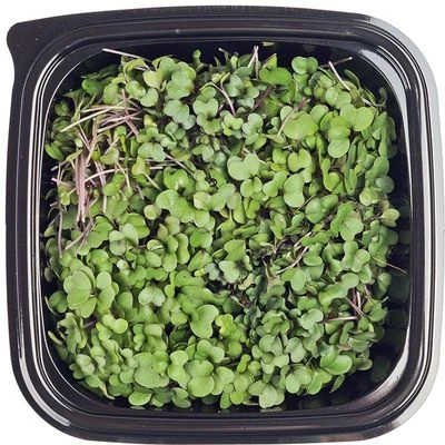 Микрозелень Кольраби 40г-1}